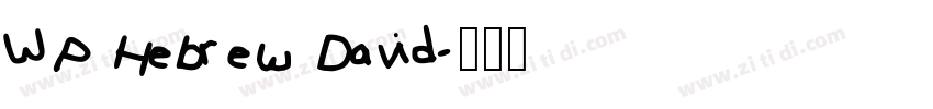 WP Hebrew David字体转换